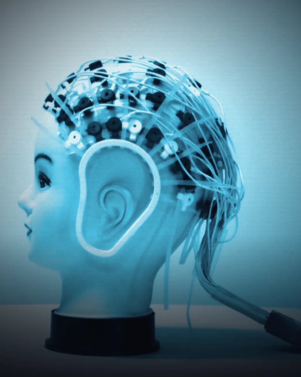 High-density EEG cap on a head form, side profile