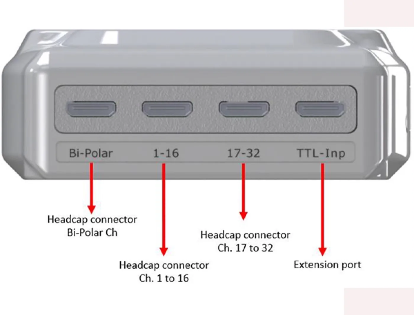 xAMP L 10 · headcap and TTL connectors